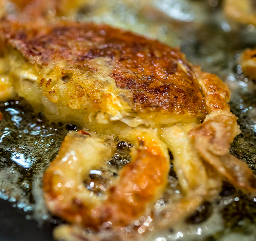 Softshell-Crab-01-3.jpg